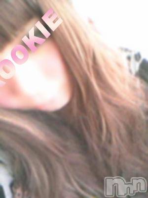 長岡デリヘル(ルーキー)の2013年7月3日お店速報「☆本日のおススメ！新人最新情報☆」