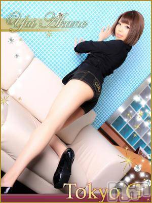 長岡デリヘル(ルーキー)の2014年4月3日お店速報「★現役グラビアモデル茜ゆいちゃん電撃来店中★」