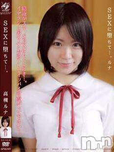 長岡デリヘル(ルーキー)の2018年11月5日お店速報「現役の人気ＡＶ女優『高槻ルナ』ちゃん緊急入店！！」