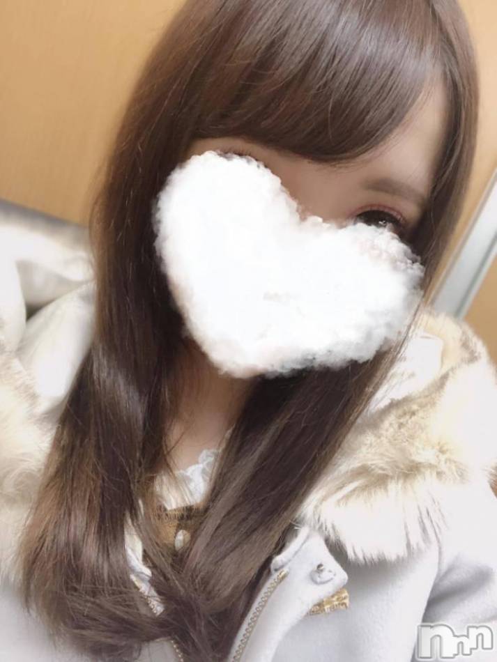 長岡デリヘル(ルーキー)の2019年2月13日お店速報「業界経験極浅『のえるちゃん』モデル清楚系美女!!」