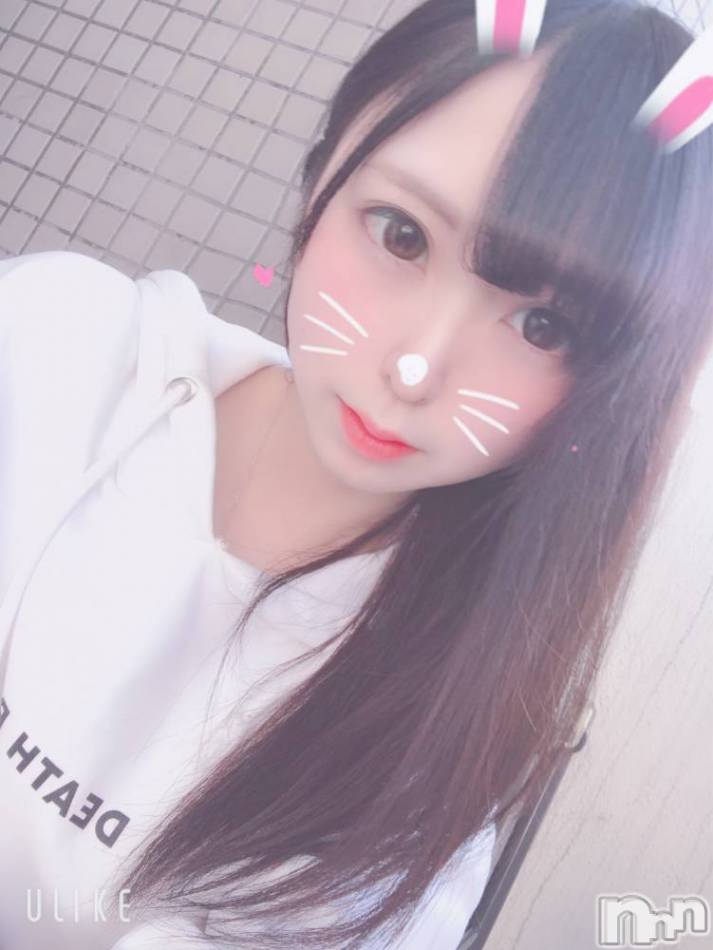 長岡デリヘル(ルーキー)の2019年6月15日お店速報「美女だらけのラインナップ！！激カワFACE激エロBODY大集合！！」