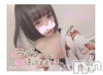 長岡デリヘル(ルーキー)の2021年5月10日お店速報「【ロリ好き必見！地下アイドル♪】『はるかちゃん』12時からご案内可能です」