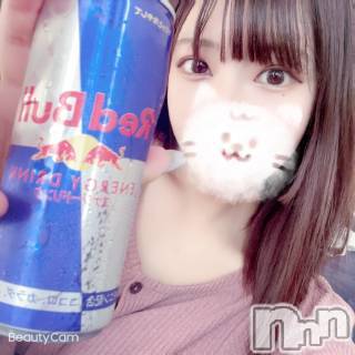 長岡デリヘル(ルーキー)の2021年8月6日お店速報「【業界経験超極浅】人気沸騰中清純派美少女『つきひちゃん』今すぐご案内可能」