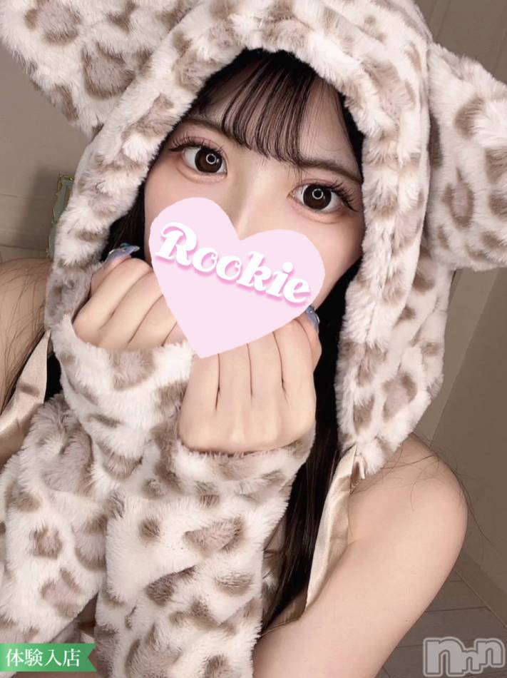 長岡デリヘル(ルーキー)の2023年7月20日お店速報「新人入店純白清楚でルックス抜群【せらちゃん】本日より体験入店決定」