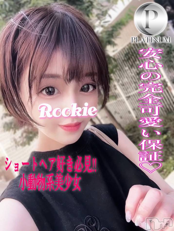 長岡デリヘル(ルーキー)の2024年11月9日お店速報「全身リップが得意容姿端麗×極上美人『なゆちゃん』オススメです」