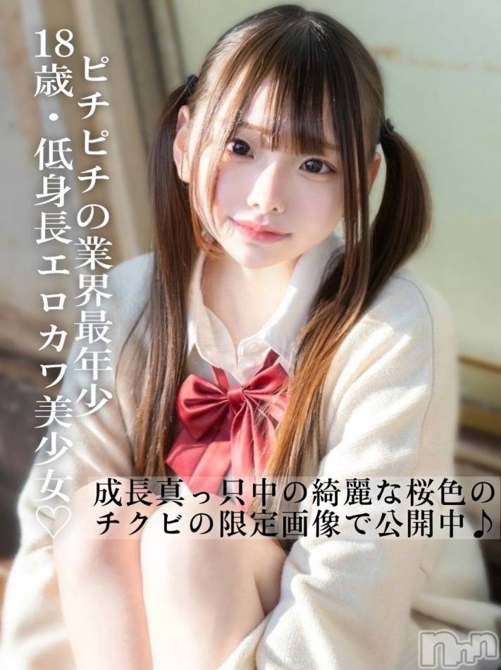 長岡デリヘル(ルーキー)の2025年2月6日お店速報「業界最年少のピチピチ18歳幼な顔のエロカワ美少女『みんみんちゃん』」