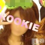 長岡デリヘル ROOKIE(ルーキー)の11月21日お店速報「本日体験入店『まりなちゃん』ＯＰＥＮ～出勤です♪」