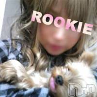 長岡デリヘル ROOKIE(ルーキー)の12月5日お店速報「☆ＲＯＯＫＩＥ体験入店情報☆」