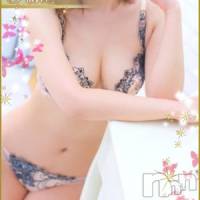 長岡デリヘル ROOKIE(ルーキー)の11月27日お店速報「超絶！大人気ＰＲＥＭＩＵＭ限定出勤中♪」