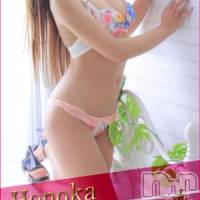 長岡デリヘル ROOKIE(ルーキー)の12月24日お店速報「★クリスマス到来！灼熱！激カワ新人多数出勤★」