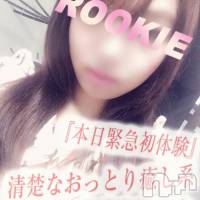 長岡デリヘル ROOKIE(ルーキー)の2月12日お店速報「【激カワ初体験入店速報!!!】」