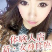 長岡デリヘル ROOKIE(ルーキー)の2月19日お店速報「☆体験・新人入店速報☆」