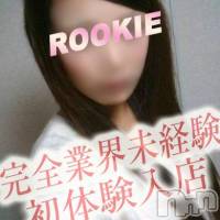 長岡デリヘル ROOKIE(ルーキー)の3月2日お店速報「今季怒涛の『体験入店１３連発』！」
