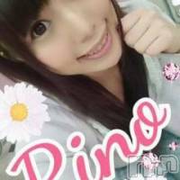 長岡デリヘル ROOKIE(ルーキー)の4月12日お店速報「本日4日目！櫻木梨乃ちゃんに会えるチャンス♪」