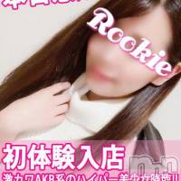長岡デリヘル ROOKIE(ルーキー)の11月29日お店速報「先ほどの面接から急展開！緊急初体験デビュー！」