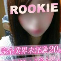 長岡デリヘル ROOKIE(ルーキー)の7月6日お店速報「透明感溢れる究極美女がついに正式入店!!」