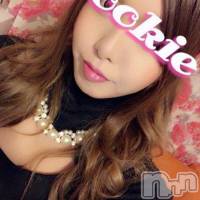 長岡デリヘル ROOKIE(ルーキー)の7月16日お店速報「 本日初出勤！極エロBODYのスタイル抜群美女!!」