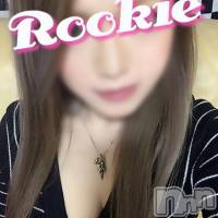 長岡デリヘル ROOKIE(ルーキー)の9月10日お店速報「綺麗すぎるハーフ美女★モデル系美女が本日体験入店！！」