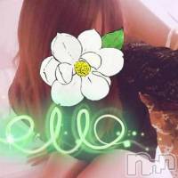 長岡デリヘル ROOKIE(ルーキー)の9月25日お店速報「お尻が性感帯の19歳キレカワ美女『みおんちゃん』本日出勤です！！」