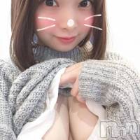 長岡デリヘル ROOKIE(ルーキー)の11月20日お店速報「遂に登場！！現役看護師の最強シロウト★レナちゃんにもうメロメロです！！」