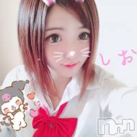 長岡デリヘル ROOKIE(ルーキー)の12月3日お店速報「街で見かける可愛い女の子『しおんちゃん』ミディアムショートが可愛すぎ☆彡」