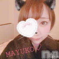 長岡デリヘル ROOKIE(ルーキー)の12月17日お店速報「透明感抜群☆色白清楚美女『まゆこちゃん』待望の出勤決定です！！」