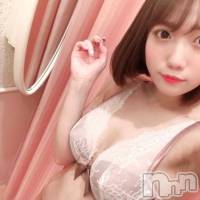 長岡デリヘル ROOKIE(ルーキー)の12月23日お店速報「全国各地からファンの皆様が押し寄せる超有名AV女優『菊川みつ葉ちゃん』」