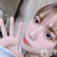 長岡デリヘル ROOKIE(ルーキー)の12月25日お店速報「全国各地からファンの皆様が押し寄せる超有名AV女優『菊川みつ葉ちゃん』」