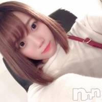 長岡デリヘル ROOKIE(ルーキー)の1月3日お店速報「全国各地からファンの皆様が押し寄せる超有名AV女優『菊川みつ葉ちゃん』」