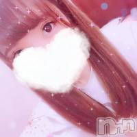 長岡デリヘル ROOKIE(ルーキー)の2月12日お店速報「今週も美女WEEKです！！スタイル抜群の厳選美女が多数出勤中です！」