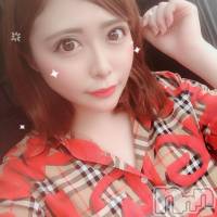 長岡デリヘル ROOKIE(ルーキー)の6月23日お店速報「美女だらけの日曜日！！激カワFACE激エロBODY大集合！！」