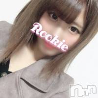 長岡デリヘル ROOKIE(ルーキー)の11月19日お店速報「本日厳選美女＆美少女が多数出勤！！現役AV女優や現役女子大生も出勤中！！」