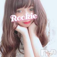 長岡デリヘル ROOKIE(ルーキー)の8月7日お店速報「史上最高のハーフ美女×19歳極上素人 『しえりちゃん』が緊急体験入店！！」
