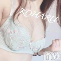 長岡デリヘル ROOKIE(ルーキー)の2月20日お店速報「ロリカワ美巨乳『こはるちゃん』！ミニマム＆美巨乳な彼女はまもなく最終日」