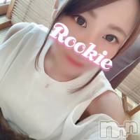 長岡デリヘル ROOKIE(ルーキー)の4月7日お店速報「体験入店決定！堀北真希似♪電マ絶頂率120%の敏感美女【しゅりちゃん】」