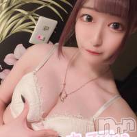 長岡デリヘル ROOKIE(ルーキー)の5月1日お店速報「【レア出勤！】本日より！アイドル級の絶世美女『あんずちゃん』出勤中♪」