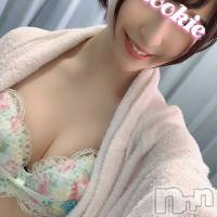 長岡デリヘル ROOKIE(ルーキー)の5月18日お店速報「【重大告知】デビュー直前！スター性抜群のAV女優『ちいちゃん』明日入店！」