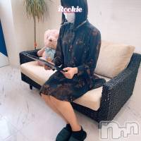 長岡デリヘル ROOKIE(ルーキー)の6月1日お店速報「【完全業界未経験！】3か国語ぺらぺらハーフ美女『いおなちゃん』初出勤！」