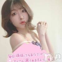 長岡デリヘル ROOKIE(ルーキー)の9月11日お店速報「【朗報】ハイスペック美女現役パーツモデル『ちふゆちゃん』今すぐご案内可能」