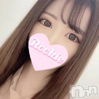 長岡デリヘル ROOKIE(ルーキー)の1月19日お店速報「【店長オススメ】超久々出勤超ハイスペック美女『めあちゃん』本日より」