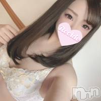長岡デリヘル ROOKIE(ルーキー)の3月14日お店速報「ぱっちりお目目のキレイ系のお顔立ち『しほちゃん』出勤中です」
