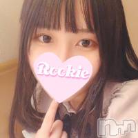 長岡デリヘル ROOKIE(ルーキー)の3月19日お店速報「【必見です】いちゃいちゃ大好き現役女子大生『ここみちゃん』今すぐ」