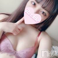 長岡デリヘル ROOKIE(ルーキー)の3月21日お店速報「本日最終日アイドル系パイパン美女『のんのちゃん』ご予約はお早めに」