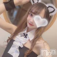 長岡デリヘル ROOKIE(ルーキー)の4月18日お店速報「【透明感200％】女子アナ系正統派美人『せりなちゃん』要チェック」