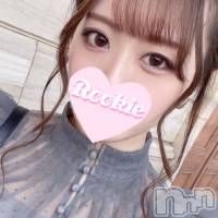 長岡デリヘル ROOKIE(ルーキー)の4月28日お店速報「【女子アナ系王道美女】体験入店中決定全身性感帯『めぐるちゃん』」
