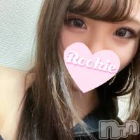 長岡デリヘル ROOKIE(ルーキー)の5月2日お店速報「キレカワ系の清純な巨乳美女『ゆめみちゃん』出勤中です」