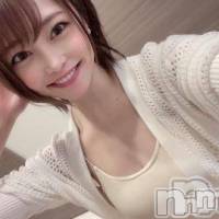 長岡デリヘル ROOKIE(ルーキー)の5月4日お店速報「連日完売御礼単体AV女優『まりちゃん』大好評出勤中空き枠あり〼」