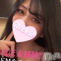 長岡デリヘル ROOKIE(ルーキー)の10月8日お店速報「【電マ無料】ほぼ未経験のモデル系美女『かのんちゃん』本日初出勤」