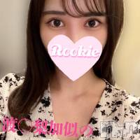 長岡デリヘル ROOKIE(ルーキー)の11月7日お店速報「洗練された感動のプロポーション『あいらちゃん』本日初出勤です」