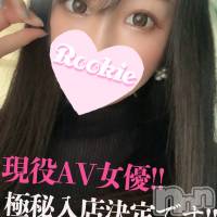 長岡デリヘル ROOKIE(ルーキー)の12月7日お店速報「【受け身好きの方必見】責め好きの現役AV女優『えまちゃん』初出勤」